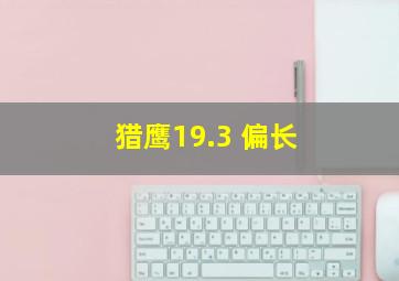 猎鹰19.3 偏长